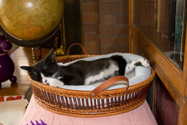 Misha_2008-07-11_IMG_0237